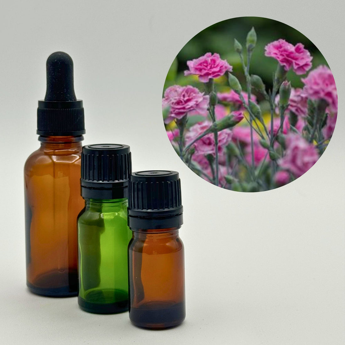 Carnation higher Chakra oil for sound healing 100% Pure Egyptian Essential Oil hand picked by Dr. Paul Hubbert during his journeys in Egypt direct from Cairo and  sacred oil alchemist.