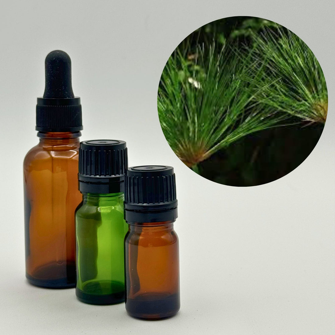 Papyrus higher Chakra oil for sound healing 100% Pure Egyptian Essential Oil hand picked by Dr. Paul Hubbert during his journeys in Egypt direct from Cairo and  sacred oil alchemist.