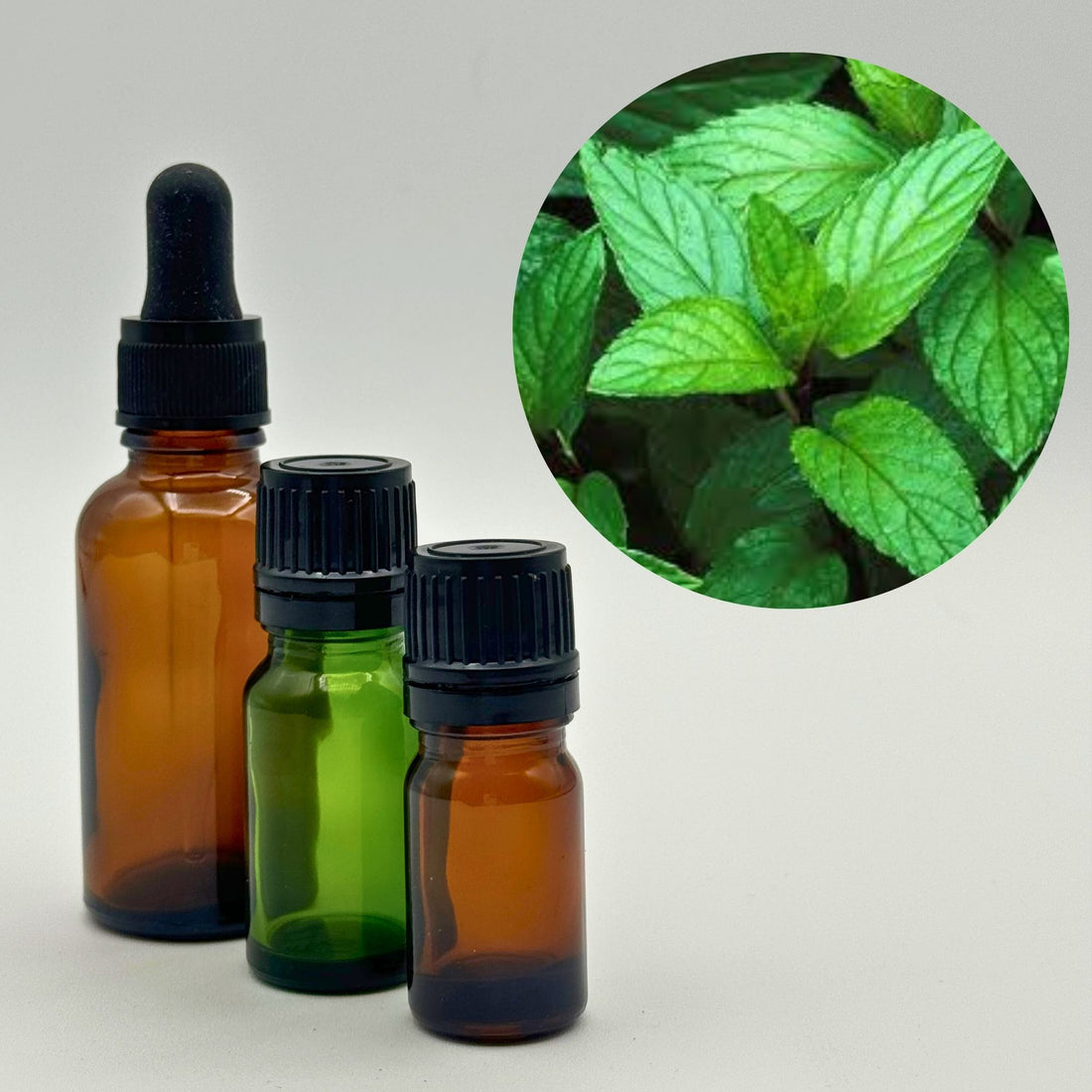 peppermint  Pure Egyptian Essential Oil hand picked by Dr. Paul Hubbert during his journeys in Egypt direct from Cairo and  sacred oil alchemist.