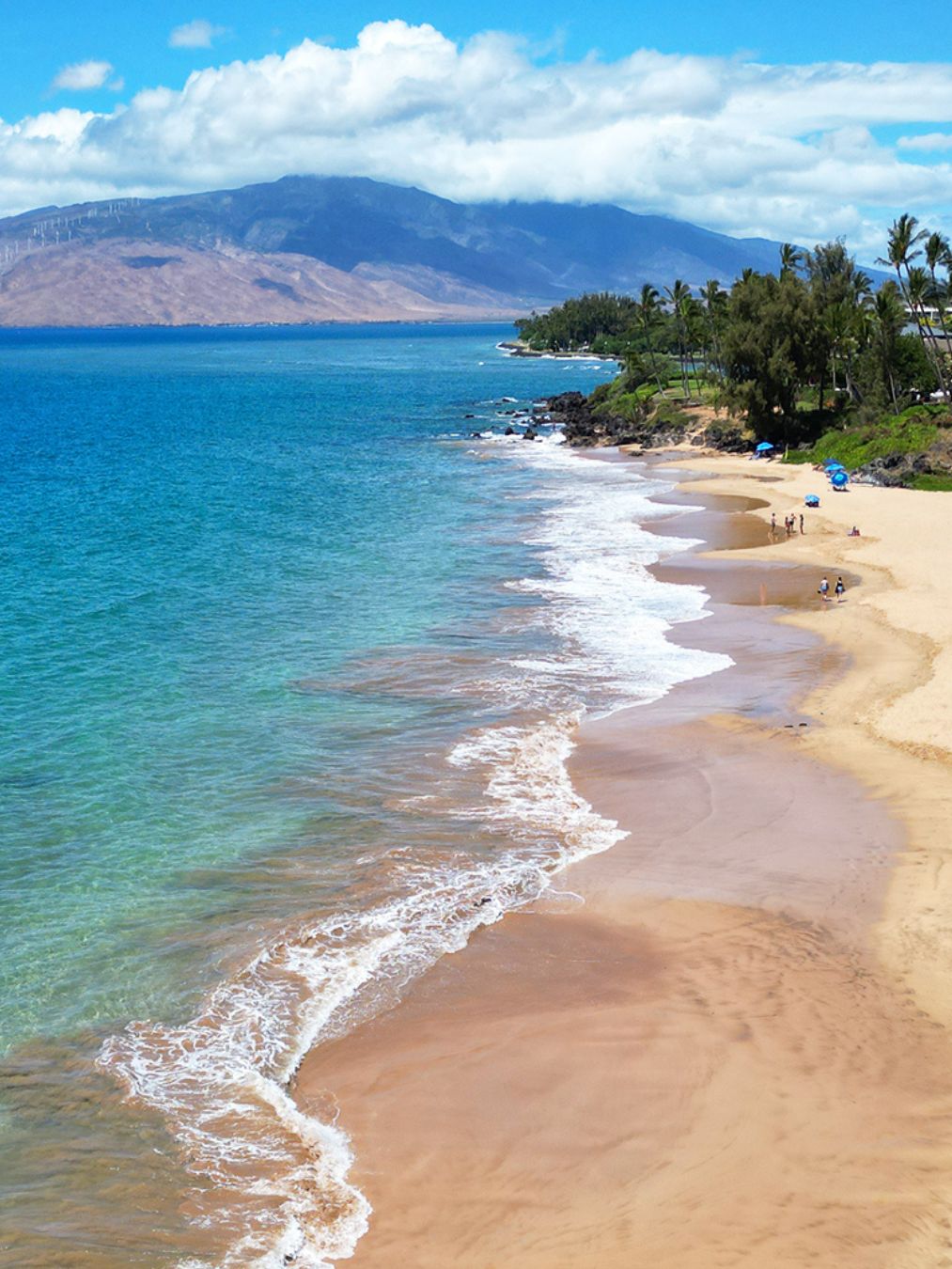 January 22-25, 2027 - HOLOGRAPHIC SOUND HEALING Certification Training - Maui, HI