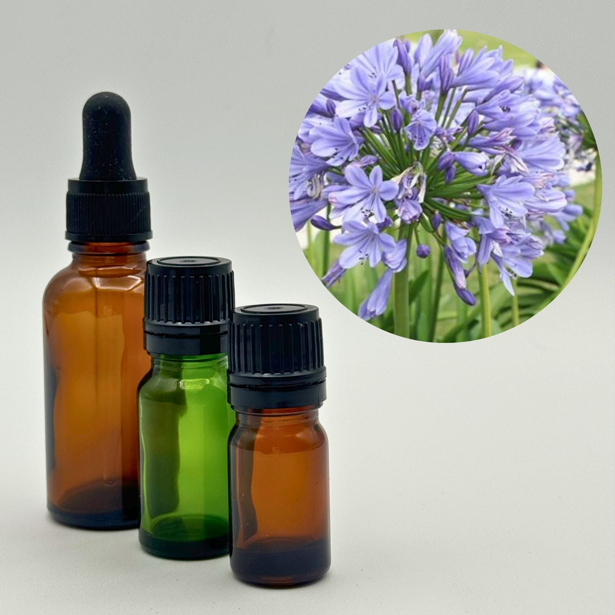 Nile Flower Essential Oil