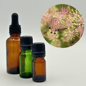 Mary Magdalene - Spikenard Essential Oil